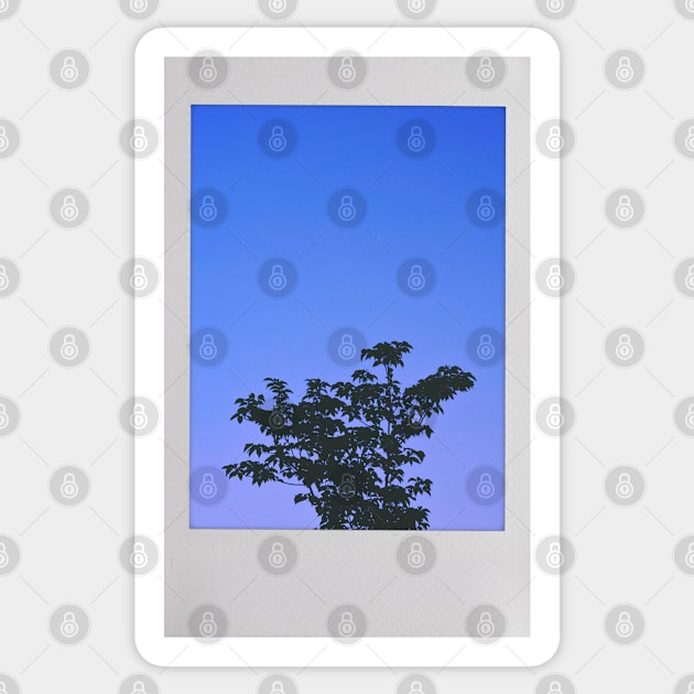 Tree in the Purple Night Sky Instant Photo (Purple People Eater) Sticker by tessiaphoto